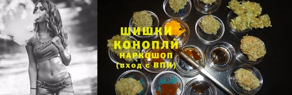 эйфоретик Пересвет