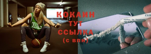 эйфоретик Пересвет