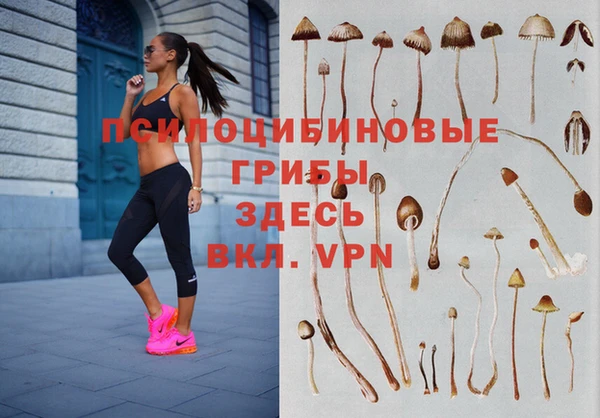 гидра Пестово