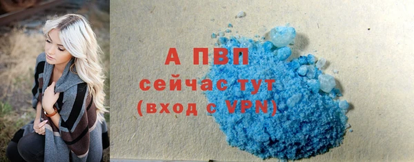 эйфоретик Пересвет