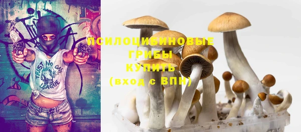 гидра Пестово