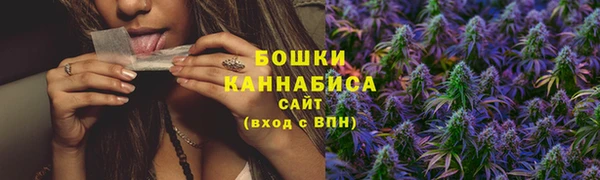 гидра Пестово