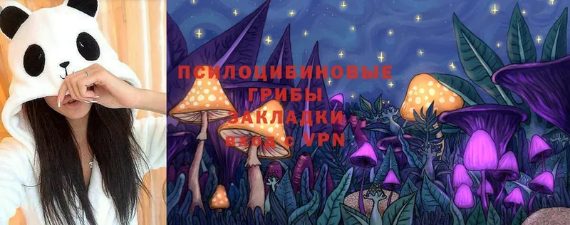 даркнет сайт  Заводоуковск  Псилоцибиновые грибы Magic Shrooms 