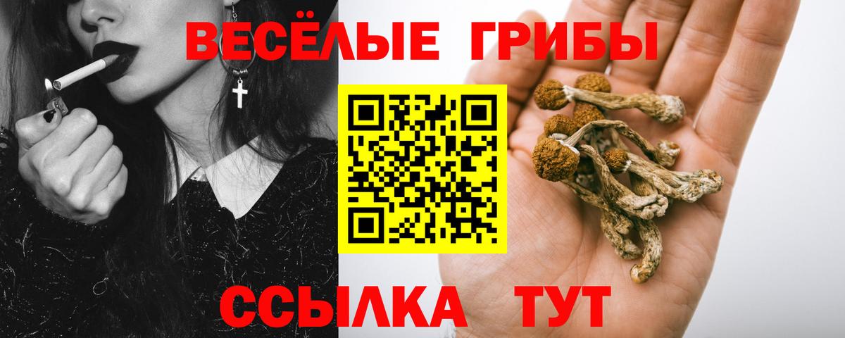 Псилоцибиновые грибы Cubensis  Псилоцибиновые грибы ЛСД  Заводоуковск 