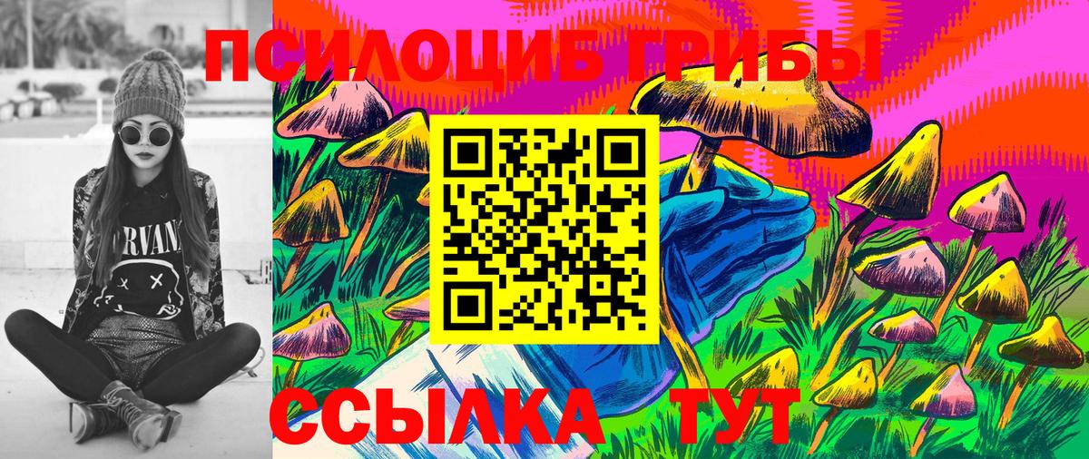 Заводоуковск  Псилоцибиновые грибы Psilocybe  Вход с VPN 